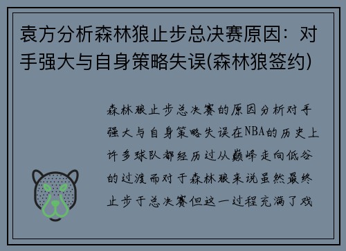 袁方分析森林狼止步总决赛原因：对手强大与自身策略失误(森林狼签约)